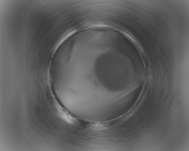 X0000081410806200701191528