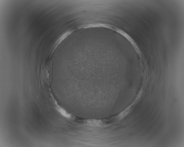 X0000081410809200701191528