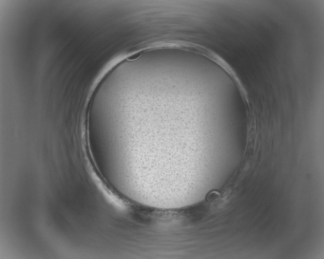 X0000081410811200701191528