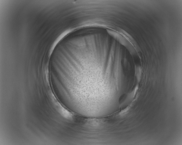 X0000081410812200701191528
