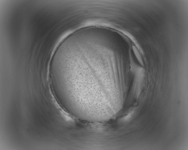 X0000081410815200701191528