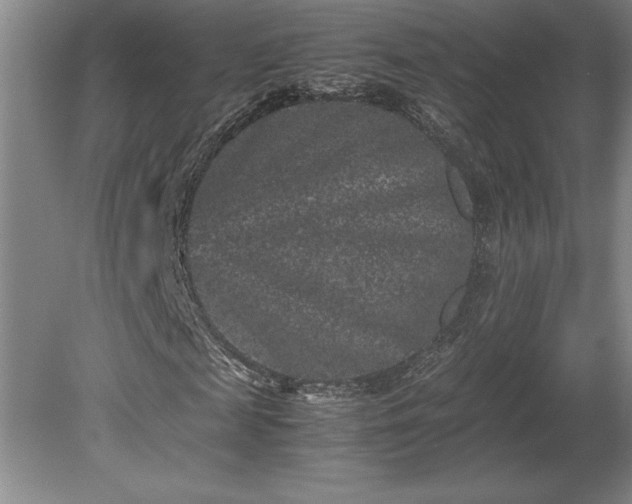 X0000081410817200701191527