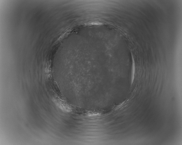 X0000081410818200701191527