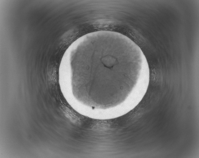 X0000081410820200701191527