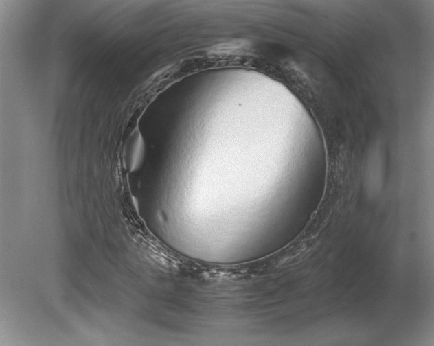 X0000081410821200701191527