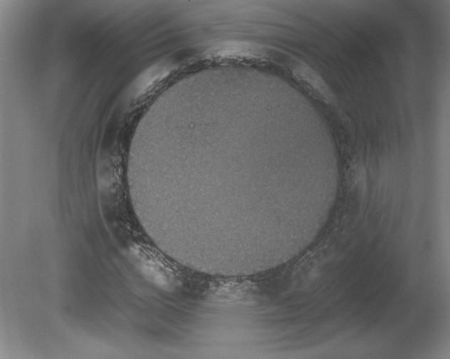 X0000081410824200701191527
