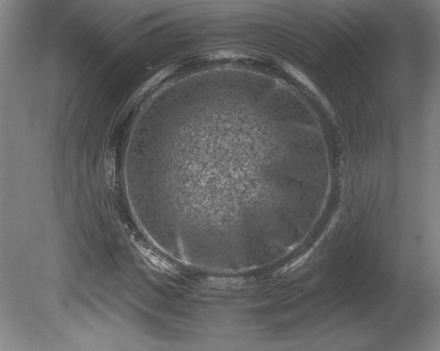 X0000081410825200701191527