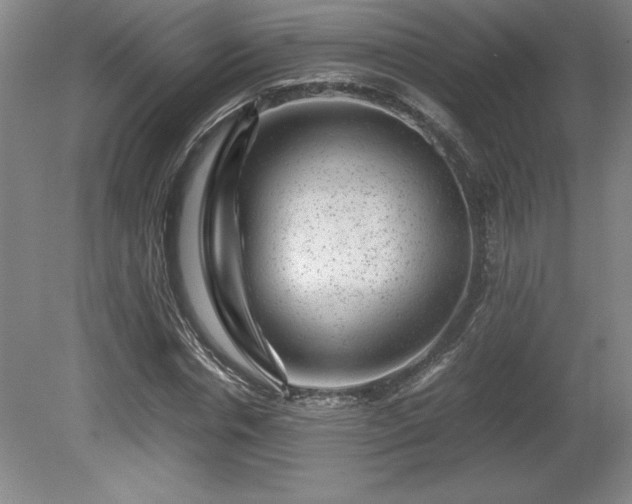 X0000081410826200701191527