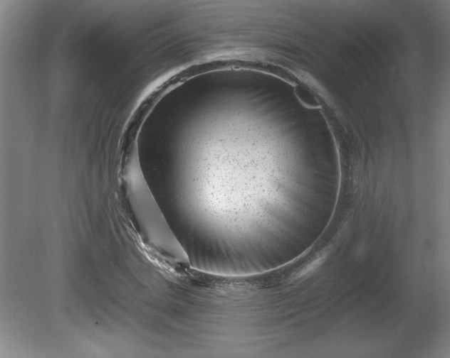 X0000081410830200701191528