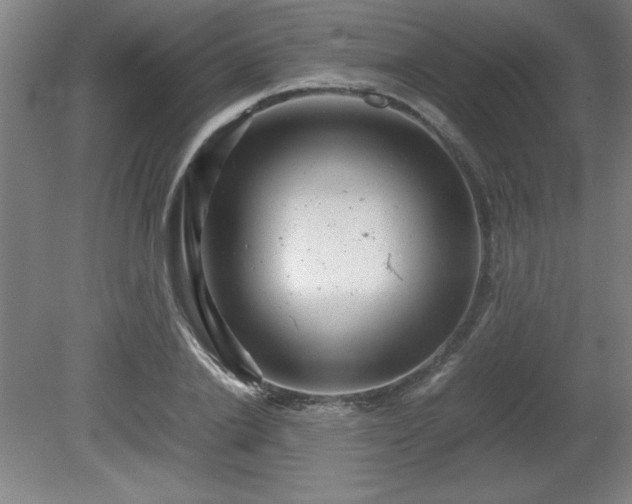 X0000081410838200701191528