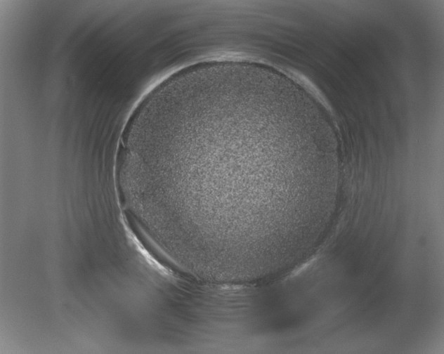 X0000081410839200701191528