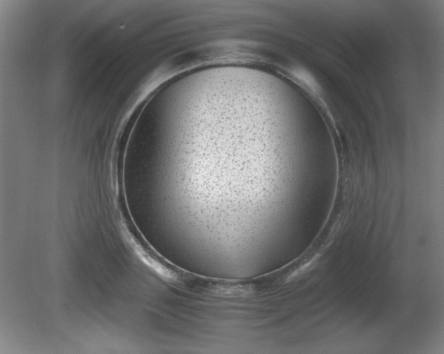 X0000081410843200701191528