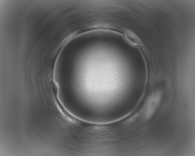 X0000081410849200701191528