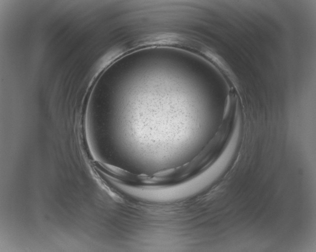 X0000081410850200701191528