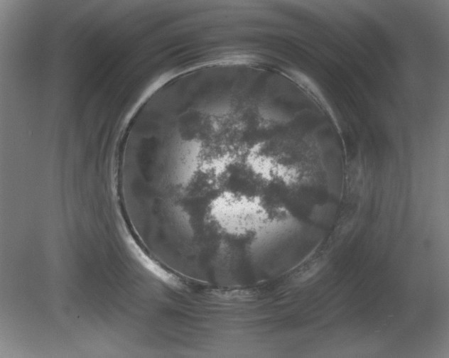 X0000081410851200701191528