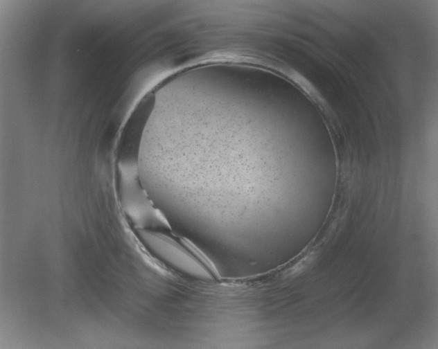 X0000081410854200701191528