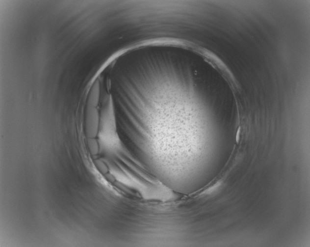 X0000081410860200701191528