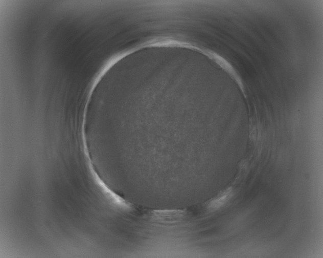 X0000081410863200701191528