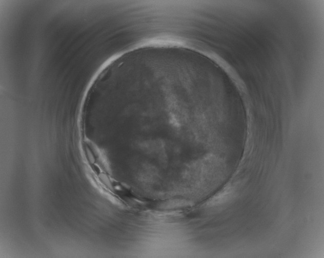 X0000081410864200701191528