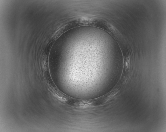 X0000081410867200701191527