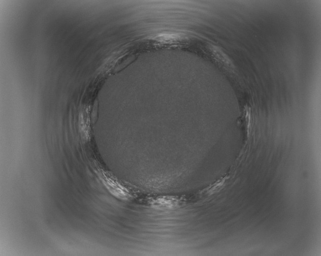 X0000081410868200701191527