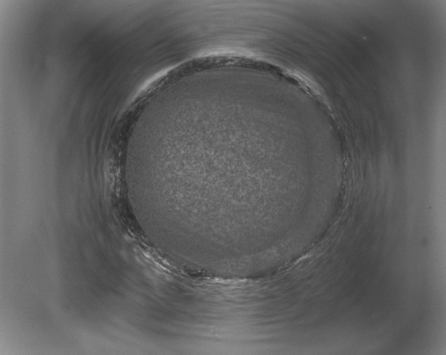 X0000081410872200701191527