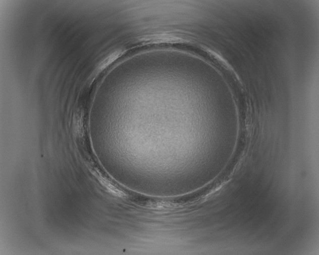 X0000081410873200701191527