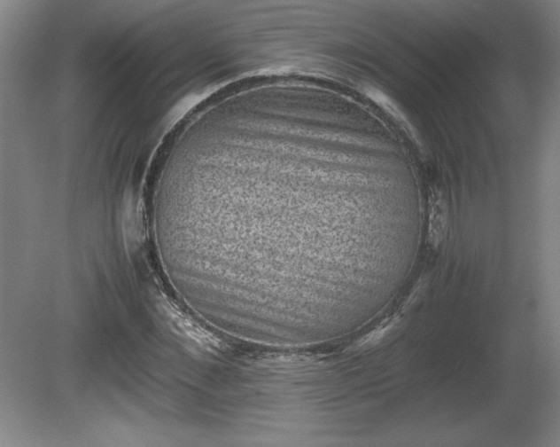 X0000081410876200701191527