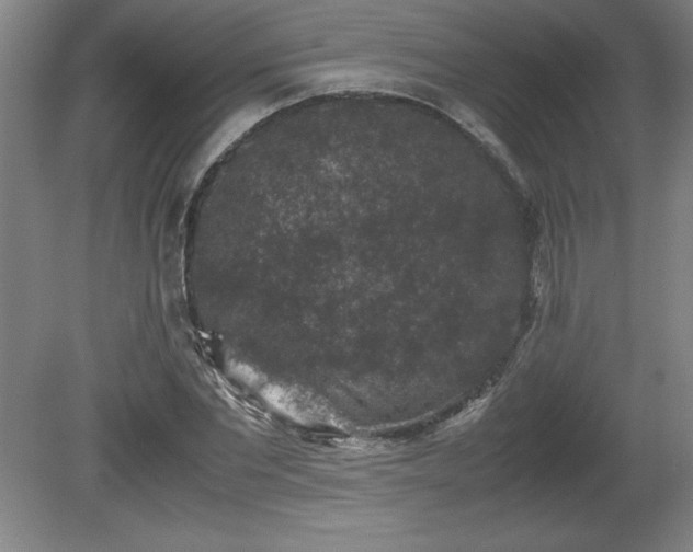X0000081410877200701191527