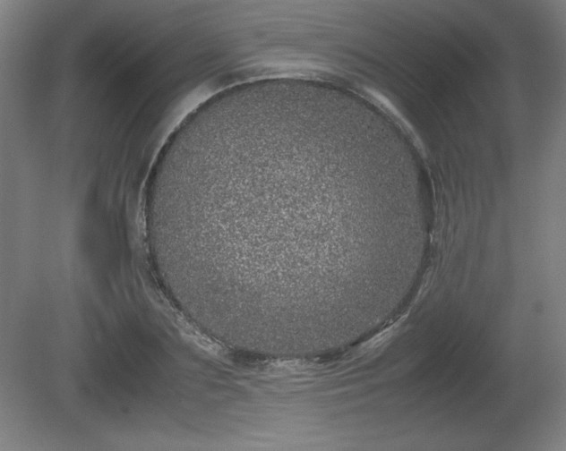X0000081410883200701191527