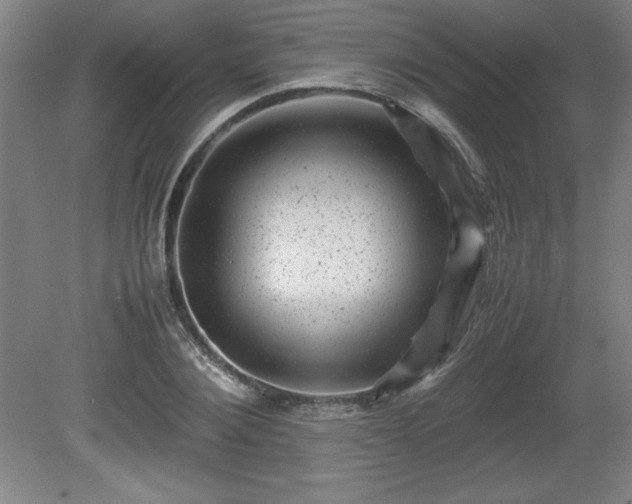 X0000081410884200701191527