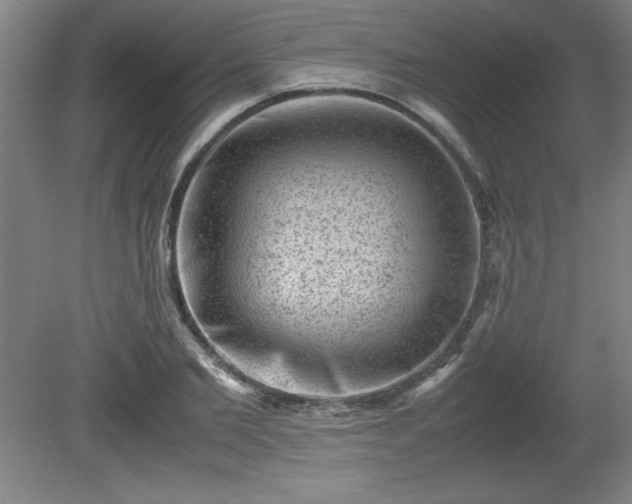 X0000081410885200701191527