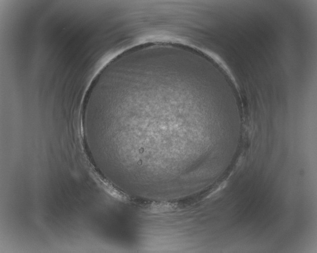 X0000081410887200701191527