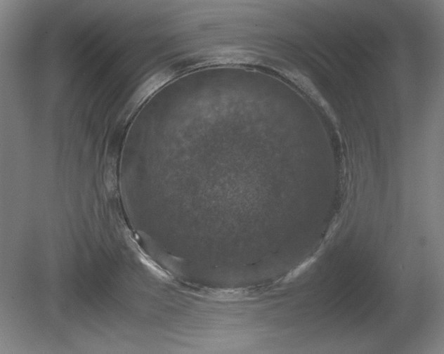 X0000081410889200701191527