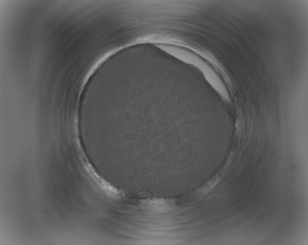 X0000081410896200701191527