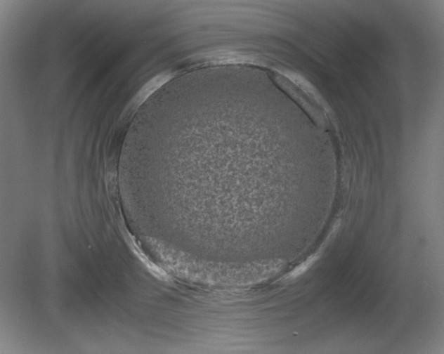 X0000081410897200701191527