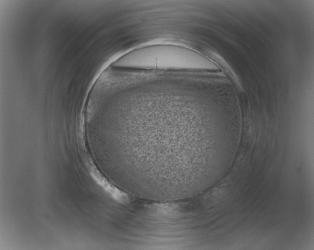 X0000081410900200701191527