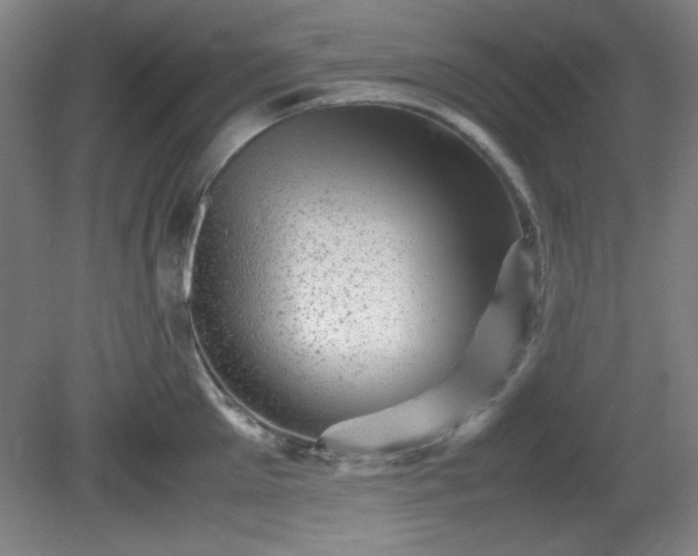 X0000081410905200701191527