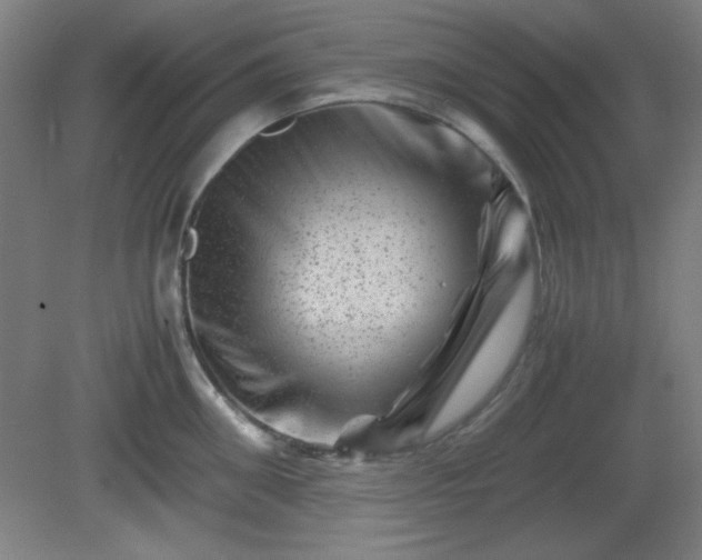 X0000081410906200701191527