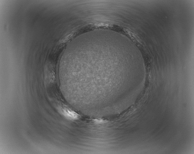 X0000081410916200701191526