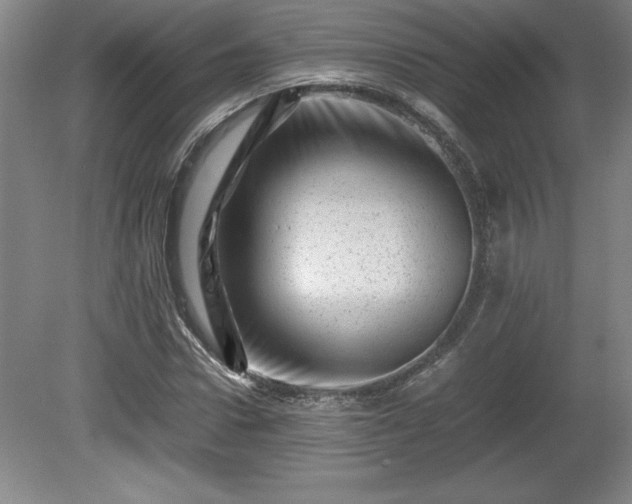 X0000081410922200701191526