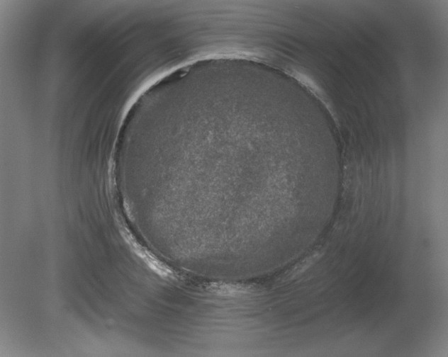 X0000081410928200701191526