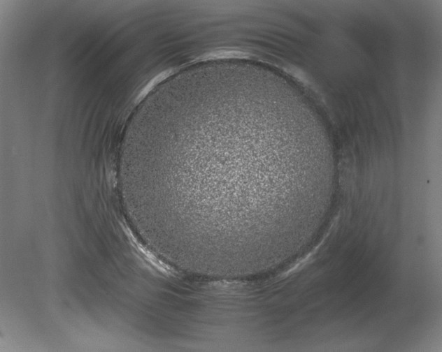 X0000081410929200701191526