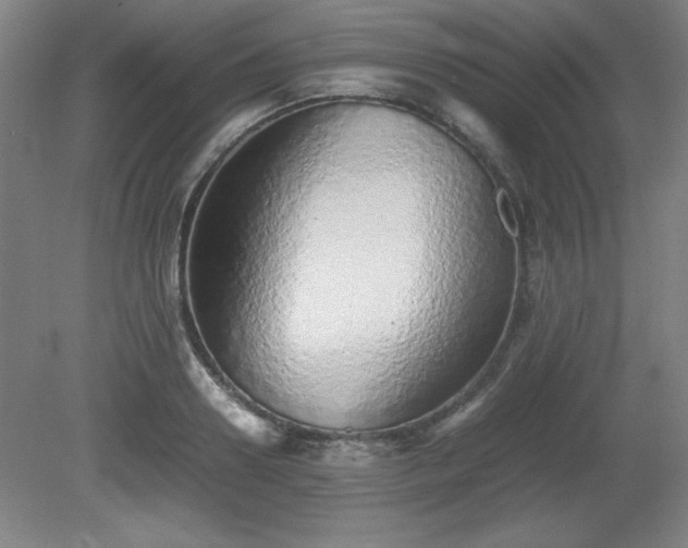 X0000081410938200701191526