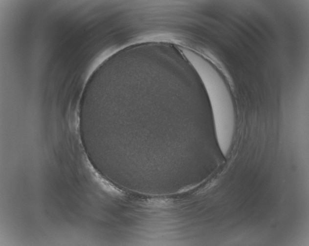 X0000081410944200701191526