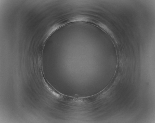 X0000081410945200701191526