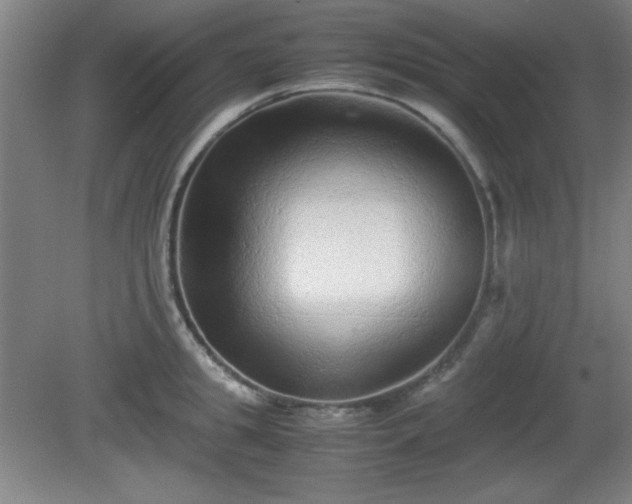 X0000081410949200701191526