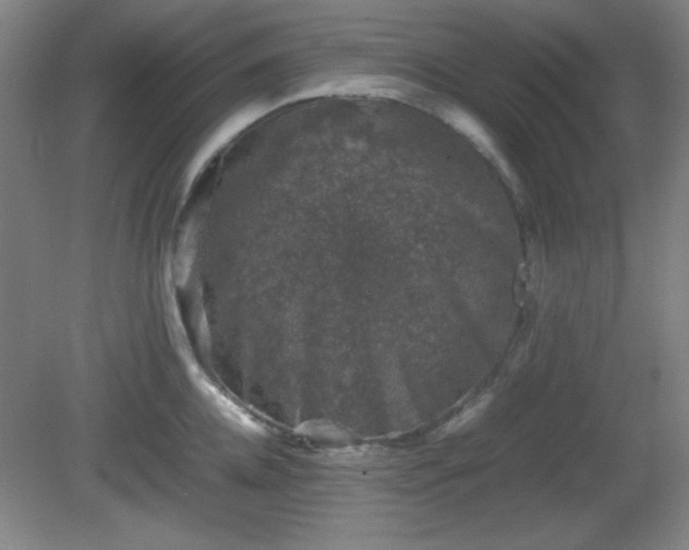 X0000081410952200701191526