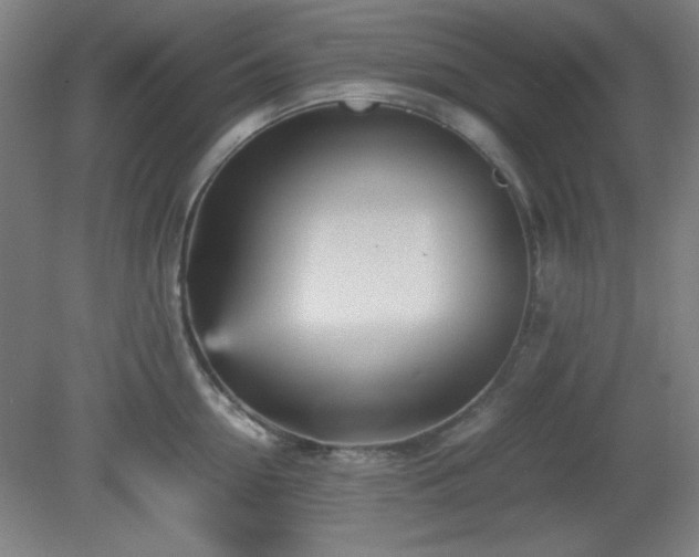 X0000081410954200701191526