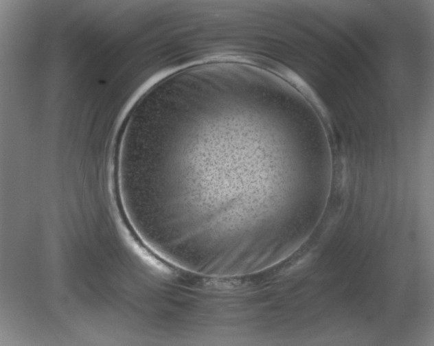 X0000081410955200701191526